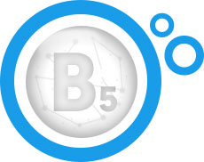 litera B5 na szarym tle w niebieskim kółku